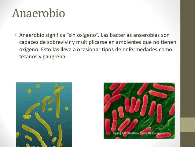 Biología