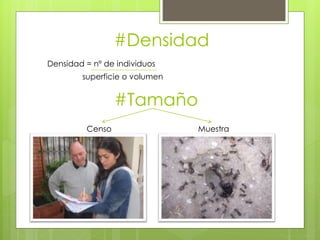 #Densidad
Densidad = nº de individuos
superficie o volumen
Censo Muestra
 