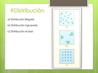 #Distribución
a) Distribución Regular
b) Distribución Agrupada
c) Distribución al azar