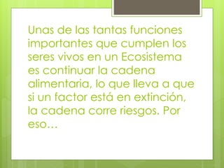 Unas de las tantas funciones
importantes que cumplen los
seres vivos en un Ecosistema
es continuar la cadena
alimentaria, lo que lleva a que
si un factor está en extinción,
la cadena corre riesgos. Por
eso…
 