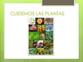 CUIDEMOS LAS PLANTAS
 