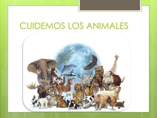 CUIDEMOS LOS ANIMALES