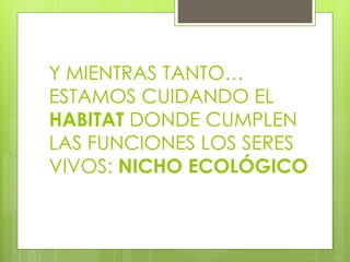 Y MIENTRAS TANTO…
ESTAMOS CUIDANDO EL
HABITAT DONDE CUMPLEN
LAS FUNCIONES LOS SERES
VIVOS: NICHO ECOLÓGICO
 