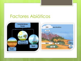 Factores Abióticos
 