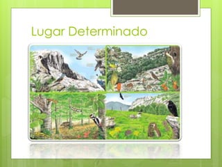 Lugar Determinado
 