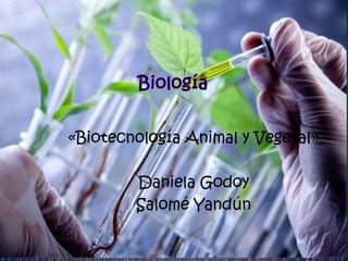 «Biotecnología Animal y Vegetal»
Daniela Godoy
Salomé Yandún
 