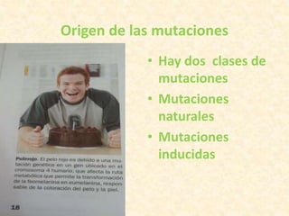 Origen de las mutaciones
• Hay dos clases de
mutaciones
• Mutaciones
naturales
• Mutaciones
inducidas
 
