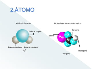 Molécula de Agua
Oxígeno
Carbono
Hidrógeno
Sodio
Molécula de Bicarbonato Sódico
 