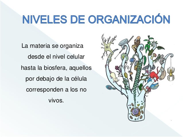 Conceptos Básicos Biología