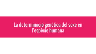 La determinació genètica del sexe en
l’espècie humana
 