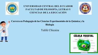 UNIVERSIDAD CENTRAL DEL ECUADOR
FACULTAD DE FILOSOFÍA, LETRAS Y
CIENCIAS DE LA EDUCACIÓN
Carrera en Pedagogía de las Ciencias Experimentales de la Ǫuímica y la
Biología
Yalilé Chicaiza
 