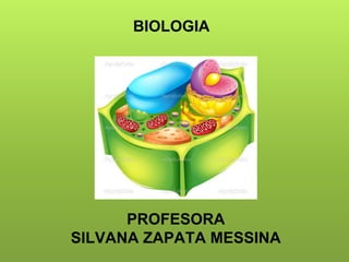 BIOLOGIA
PROFESORA
SILVANA ZAPATA MESSINA
 