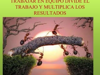 TRABAJAR EN EQUIPO DIVIDE EL
TRABAJO Y MULTIPLICA LOS
RESULTADOS
 