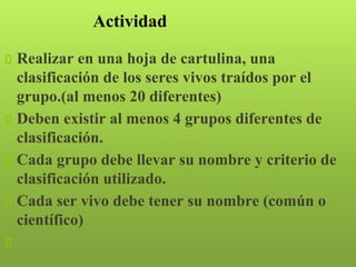 Actividad
Realizar en una hoja de cartulina, una
clasificación de los seres vivos traídos por el
grupo.(al menos 20 diferentes)
Deben existir al menos 4 grupos diferentes de
clasificación.
Cada grupo debe llevar su nombre y criterio de
clasificación utilizado.
Cada ser vivo debe tener su nombre (común o
científico)
 