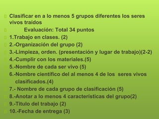Clasificar en a lo menos 5 grupos diferentes los seres
vivos traídos
Evaluación: Total 34 puntos
1.Trabajo en clases. (2)
2.-Organización del grupo (2)
3.-Limpieza, orden. (presentación y lugar de trabajo)(2-2)
4.-Cumplir con los materiales.(5)
5.-Nombre de cada ser vivo (5)
6.-Nombre científico del al menos 4 de los seres vivos
clasificados.(4)
7.- Nombre de cada grupo de clasificación (5)
8.-Anotar a lo menos 4 características del grupo(2)
9.-Titulo del trabajo (2)
10.-Fecha de entrega (3)
 