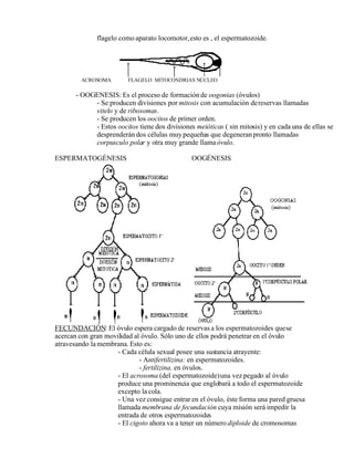 biología completo.doc