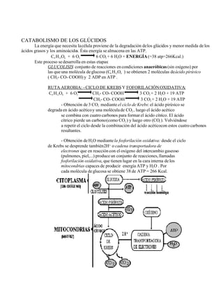 biología completo.doc
