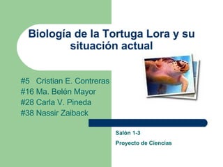 Biología de la Tortuga Lora y su situación actual #5  Cristian E. Contreras #16 Ma. Belén Mayor #28 Carla V. Pineda  #38 Nassir Zaiback Salón 1-3 Proyecto de Ciencias 