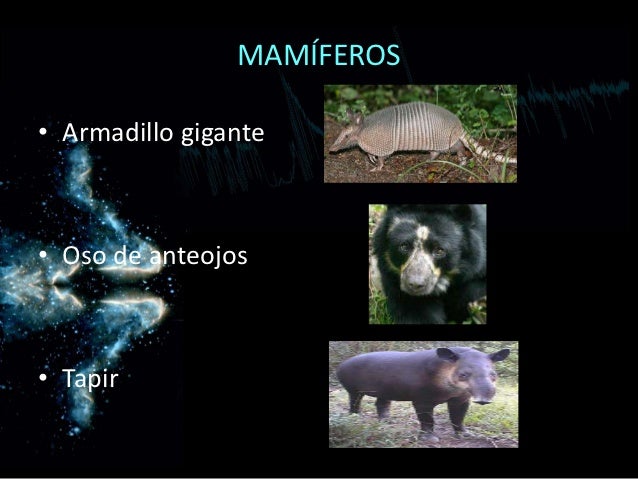 Biologia Especies Del Ecuador