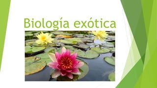 Biología exótica
 