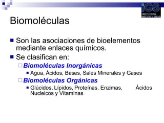 Biomoléculas <ul><li>Son las asociaciones de bioelementos mediante enlaces químicos. </li></ul><ul><li>Se clasifican en: <...