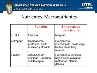 Nutrientes. Macronutrientes Función Síntomas de deficiencia C, H, O Esencial Ninguno. Nitrógeno Componente proteínas, ácido nucleico y clorofila Crecimiento interrumpido, hojas vieja, tornan amarillas y mueren Potasio Activación de enzimas, Equilibrio solutos-agua Crecimiento reducido, hojas viejas curvadas, moteadas, plantas débiles 