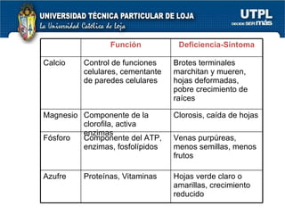 Función Deficiencia-Síntoma Calcio Control de funciones celulares, cementante de paredes celulares Brotes terminales marchitan y mueren, hojas deformadas, pobre crecimiento de raíces Magnesio Componente de la clorofila, activa enzimas Clorosis, caída de hojas Fósforo Componente del ATP, enzimas, fosfolípidos Venas purpúreas, menos semillas, menos frutos Azufre Proteínas, Vitaminas Hojas verde claro o amarillas, crecimiento reducido 