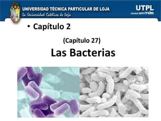 Las Bacterias Capítulo 2 (Capítulo 27) 
