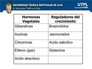 Hormonas Vegetales Reguladores del crecimiento Giberelinas Brasinólidos Auxinas Jasmonados Citocininas Acido salicílico Etileno (gas) Sistemina Acido abscísico 