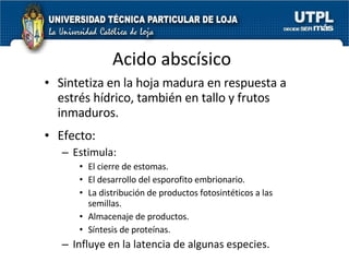 Acido abscísico Sintetiza en la hoja madura en respuesta a estrés hídrico, también en tallo y frutos inmaduros. Efecto:  Estimula: El cierre de estomas. El desarrollo del esporofito embrionario. La distribución de productos fotosintéticos a las semillas. Almacenaje de productos. Síntesis de proteínas. Influye en la latencia de algunas especies. 