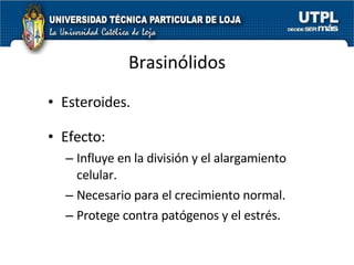 Brasinólidos Esteroides. Efecto:  Influye en la división y el alargamiento celular. Necesario para el crecimiento normal. Protege contra patógenos y el estrés. 