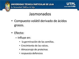 Jasmonados Compuesto volátil derivado de ácidos grasos. Efecto:  Influye en: la germinación de las semillas. Crecimiento de las raíces. Almacenaje de proteínas respuesta defensiva 