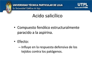 Acido salicílico Compuesto fenólico estructuralmente paracido a la aspirina. Efecto:  Influye en la respuesta defensiva de los tejidos contra los patógenos. 