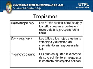 Tropismos Gravitropismo Las raíces crecen hacia abajo y los tallos crecen erguidos en respuesta a la gravedad de la tierra. Fototropismo Los tallos y las hojas ajustan la velocidad y dirección del crecimiento en respuesta a la luz Tigmotropismo Las plantas ajustan la dirección de su crecimiento en respuesta la contacto con objetos sólidos. 