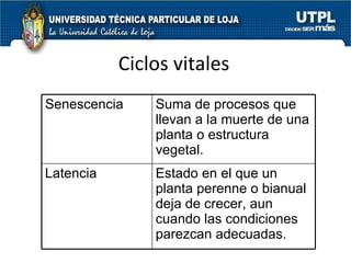 Ciclos vitales Senescencia Suma de procesos que llevan a la muerte de una planta o estructura vegetal. Latencia Estado en el que un planta perenne o bianual deja de crecer, aun cuando las condiciones parezcan adecuadas. 