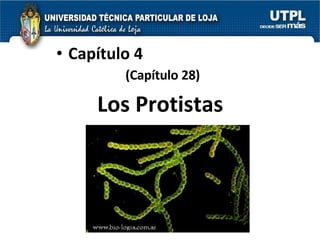 Los Protistas Capítulo 4 (Capítulo 28) 