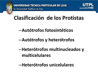 Clasificación  de los Protistas Autótrofos fotosintéticos Autótrofos y heterótrofos Heterótrofos multinucleados y multicelulares Heterótrofos unicelulares 