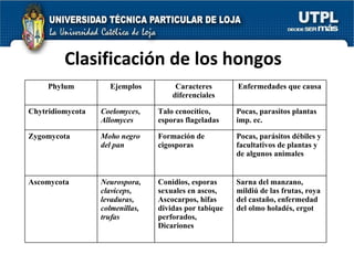 Clasificación de los hongos Phylum Ejemplos Caracteres diferenciales Enfermedades que causa Chytridiomycota Coelomyces, Allomyces Talo cenocítico, esporas flageladas  Pocas, parasitos plantas imp. ec. Zygomycota Moho negro del pan Formación de cigosporas Pocas, parásitos débiles y facultativos de plantas y de algunos animales Ascomycota Neurospora, claviceps, levaduras, colmenillas, trufas Conidios, esporas sexuales en ascos, Ascocarpos, hifas dividas por tabique perforados, Dicariones Sarna del manzano, mildiú de las frutas, roya del castaño, enfermedad del olmo holadés, ergot 