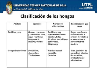 Clasificación de los hongos Phylum Ejemplos Caracteres diferenciales Enfermedades que causa Basidiomycota Hongos venenosos y comestibles, setas, royas y carbones, hongos de la madera y niditos Basidiocarpos, esporas sexuales en basidios, hifas divididas por tabiques perforados, Dicariones. Royas y carbones, enfermedades a árboles forestales u ornamentales, o por destruir la madera Hongos imperfectos Penicillium, Aspergillus, Trichoderma Sin ciclo sexual conocido. Conidios Tiña, parásitos de animales y plantas, dermatofitos, productores de micotoxinas 