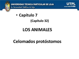 LOS ANIMALES Celomados protóstomos Capítulo 7 (Capítulo 32) 