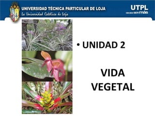 VIDA VEGETAL UNIDAD 2 