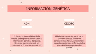 CIGOTO
ADN
El óvulo contiene el ADN de la
madre, y el espermatozoide tiene la
información genética del padre.
Un óvulo siempre tendrá un
cromosoma X, y un esperma X o Y.
El bebé se formará a partir de la
unión de ambos, teniendo
características físicas, emocionales
y predisposiciones a enfermedades
y tendencias que poseen los
padres.
INFORMACIÓN GENÉTICA
 