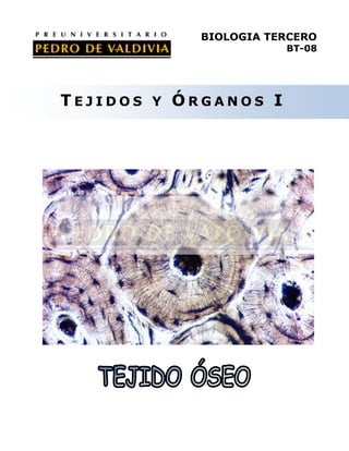 BIOLOGIA TERCERO
                       BT-08




TEJIDOS Y ÓRGANOS I
 