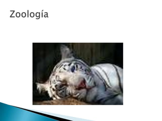 Zoología