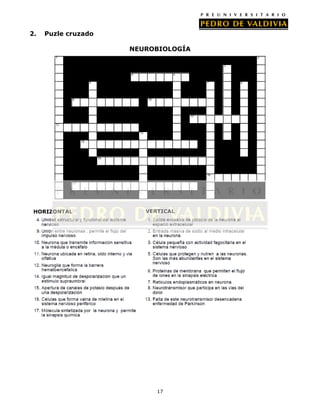 2.   Puzle cruzado

                     NEUROBIOLOGÍA




 HORIZONTAL             VERTICAL




                           17
 