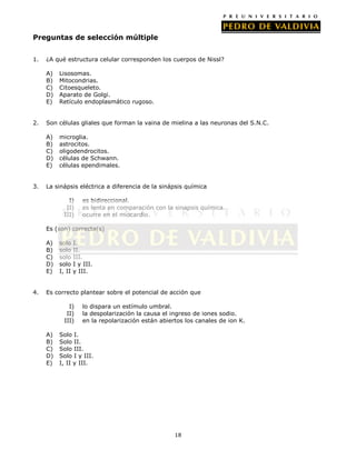 Preguntas de selección múltiple


1.   ¿A qué estructura celular corresponden los cuerpos de Nissl?

     A)   Lisosomas.
     B)   Mitocondrias.
     C)   Citoesqueleto.
     D)   Aparato de Golgi.
     E)   Retículo endoplasmático rugoso.


2.   Son células gliales que forman la vaina de mielina a las neuronas del S.N.C.

     A)   microglia.
     B)   astrocitos.
     C)   oligodendrocitos.
     D)   células de Schwann.
     E)   células ependimales.


3.   La sinápsis eléctrica a diferencia de la sinápsis química

              I)     es bidireccional.
             II)     es lenta en comparación con la sinapsis química.
            III)     ocurre en el miocardio.

     Es (son) correcta(s)

     A)   solo    I.
     B)   solo    II.
     C)   solo    III.
     D)   solo    I y III.
     E)   I, II   y III.


4.   Es correcto plantear sobre el potencial de acción que

              I)     lo dispara un estímulo umbral.
             II)     la despolarización la causa el ingreso de iones sodio.
            III)     en la repolarización están abiertos los canales de ion K.

     A)   Solo I.
     B)   Solo II.
     C)   Solo III.
     D)   Solo I y III.
     E)   I, II y III.




                                                     18
 