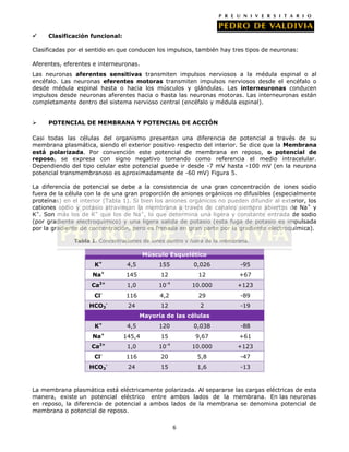     Clasificación funcional:

Clasificadas por el sentido en que conducen los impulsos, también hay tres tipos de neuronas:

Aferentes, eferentes e interneuronas.
Las neuronas aferentes sensitivas transmiten impulsos nerviosos a la médula espinal o al
encéfalo. Las neuronas eferentes motoras transmiten impulsos nerviosos desde el encéfalo o
desde médula espinal hasta o hacia los músculos y glándulas. Las interneuronas conducen
impulsos desde neuronas aferentes hacia o hasta las neuronas motoras. Las interneuronas están
completamente dentro del sistema nervioso central (encéfalo y médula espinal).


    POTENCIAL DE MEMBRANA Y POTENCIAL DE ACCIÓN

Casi todas las células del organismo presentan una diferencia de potencial a través de su
membrana plasmática, siendo el exterior positivo respecto del interior. Se dice que la Membrana
está polarizada. Por convención este potencial de membrana en reposo, o potencial de
reposo, se expresa con signo negativo tomando como referencia el medio intracelular.
Dependiendo del tipo celular este potencial puede ir desde -7 mV hasta -100 mV (en la neurona
potencial transmembranoso es aproximadamente de -60 mV) Figura 5.

La diferencia de potencial se debe a la consistencia de una gran concentración de iones sodio
fuera de la célula con la de una gran proporción de aniones orgánicos no difusibles (especialmente
proteínas) en el interior (Tabla 1). Si bien los aniones orgánicos no pueden difundir al exterior, los
cationes sodio y potasio atraviesan la membrana a través de canales siempre abiertos de Na + y
K+. Son más los de K+ que los de Na+, lo que determina una ligera y constante entrada de sodio
(por gradiente electroquímico) y una ligera salida de potasio (esta fuga de potasio es impulsada
por la gradiente de concentración, pero es frenada en gran parte por la gradiente electroquímica).

               Tabla 1. Concentraciones de iones dentro y fuera de la membrana.

                                        Músculo Esquelético
                          +
                      K           4,5         155           0,026          -95
                     Na+          145         12             12            +67
                          2+                       -4
                     Ca           1,0         10            10.000        +123
                      Cl-         116         4,2            29            -89
                    HCO3-         24          12              2            -19
                                        Mayoría de las células
                          +
                      K           4,5         120           0,038          -88
                     Na+        145,4         15             9,67          +61
                          2+                       -4
                     Ca           1,0         10            10.000        +123
                          -
                      Cl          116         20             5,8           -47
                    HCO3-         24          15             1,6           -13



La membrana plasmática está eléctricamente polarizada. Al separarse las cargas eléctricas de esta
manera, existe un potencial eléctrico entre ambos lados de la membrana. En las neuronas
en reposo, la diferencia de potencial a ambos lados de la membrana se denomina potencial de
membrana o potencial de reposo.

                                                        6
 