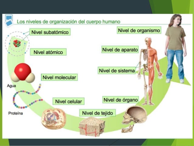I.La biología como la ciencia de la vida