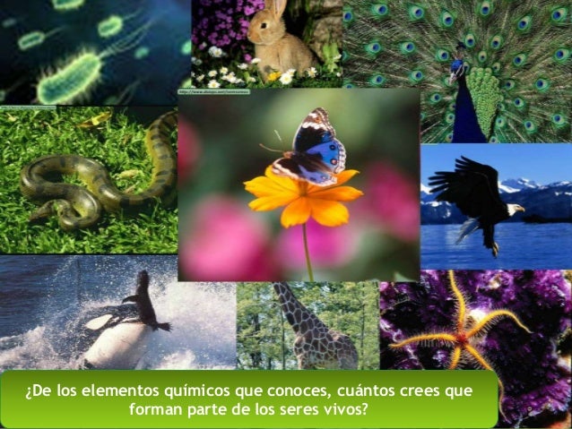 II. Características de los seres vivos (1)