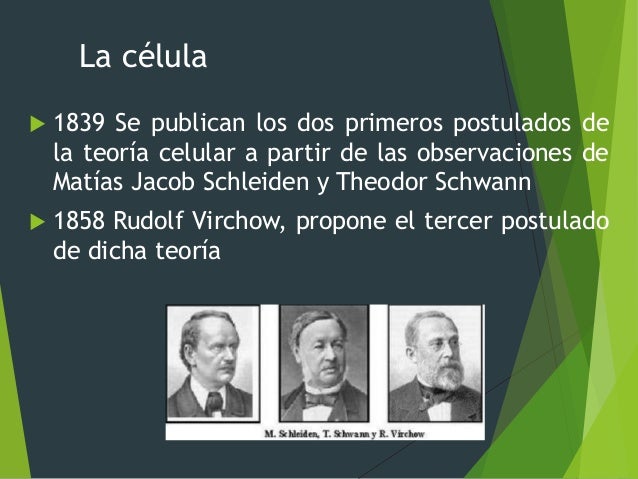 III. La célula como unidad de vida (1)